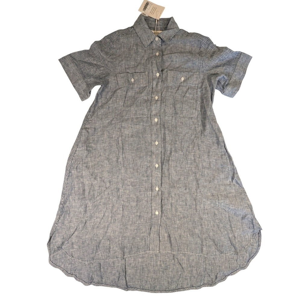 Everlane Blue Stripe Button-Front Shirt Dress